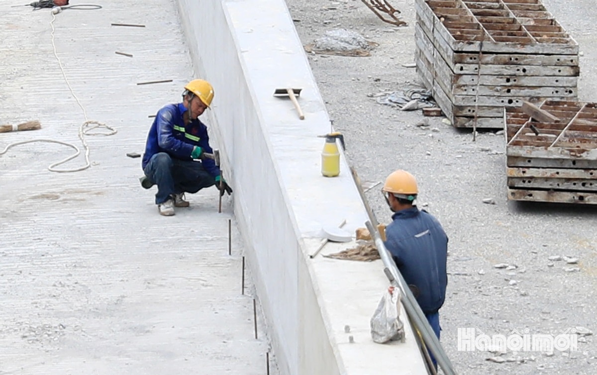 W_ham-chui-kim-dong-gia-phong-14.jpg
