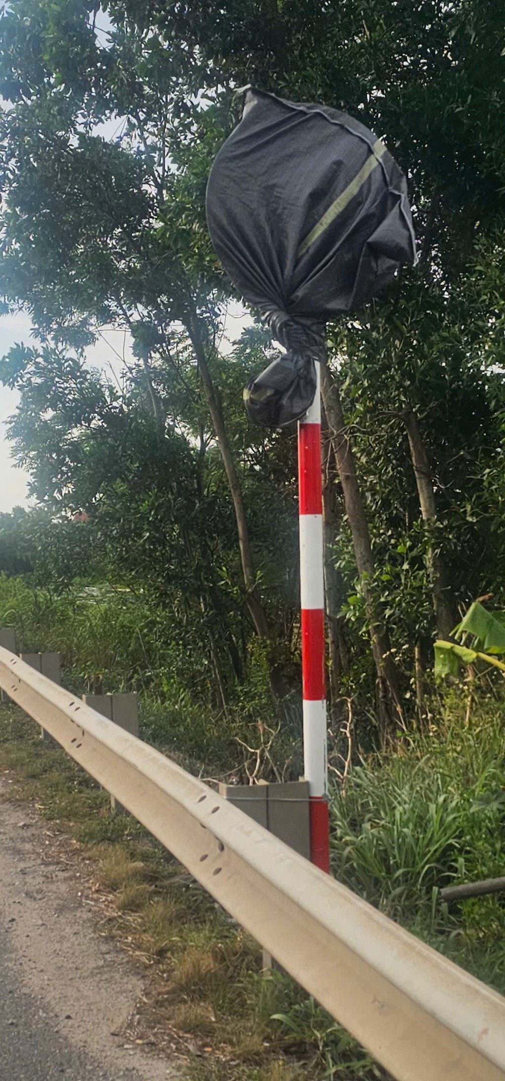 Quảng Nam: Hàng loạt biển báo giao thông bất ngờ bị bịt kín Quảng Nam: Hàng loạt biển báo giao thông bất ngờ bị bịt kín
