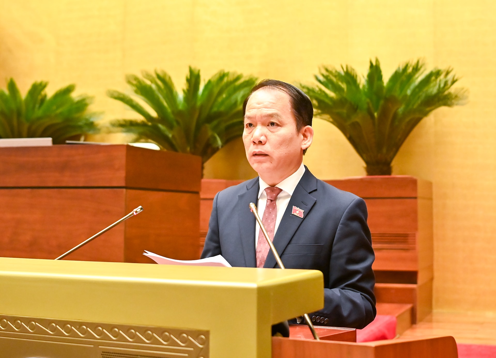 sap-nhap-tinh1.jpg