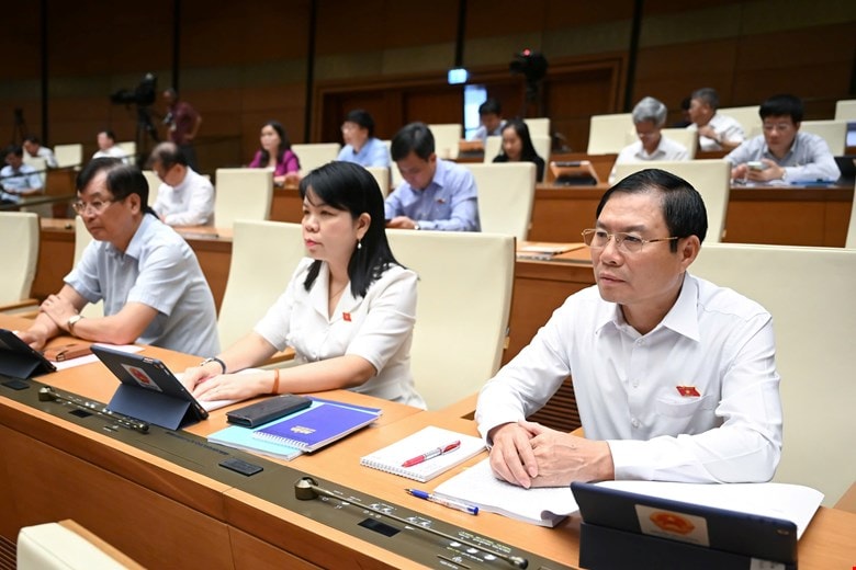 dai-bieu-1.jpg