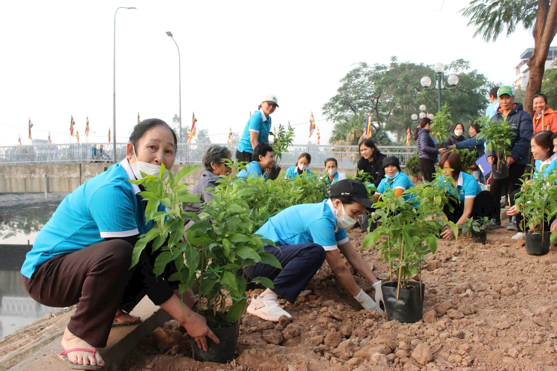 trong-cay-xanh-thanh-tri.jpg
