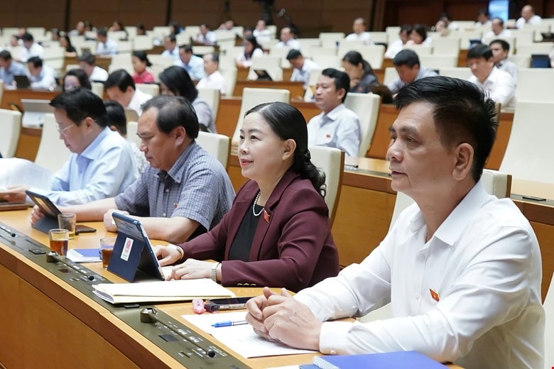 dai-bieu-2.jpg