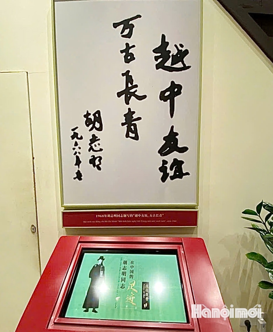 W_bao-thanh-nien-15.jpg