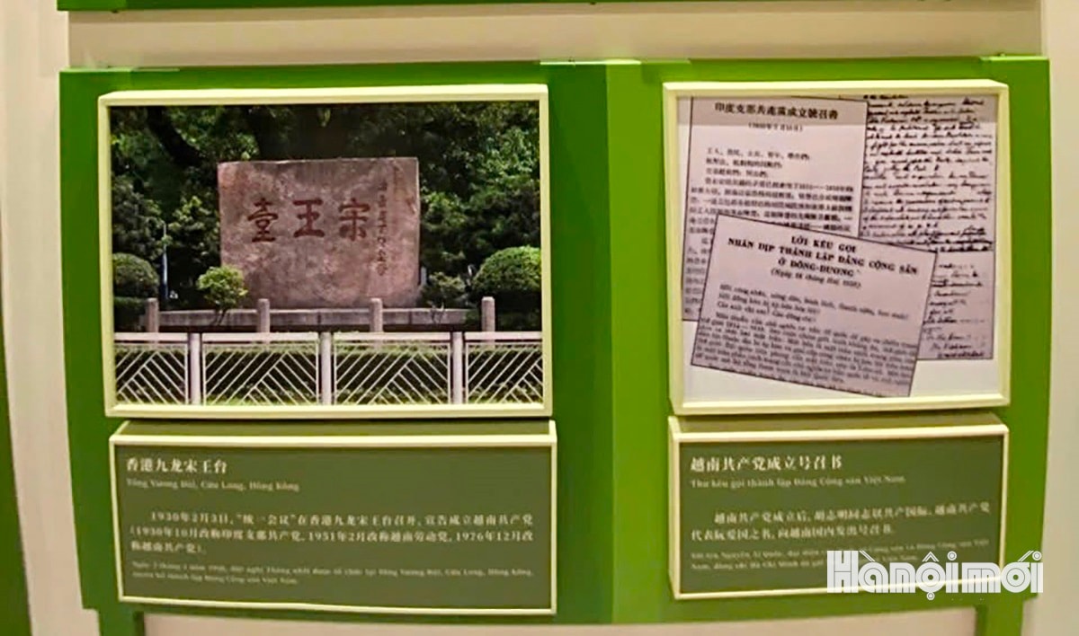 W_bao-thanh-nien-7.jpg