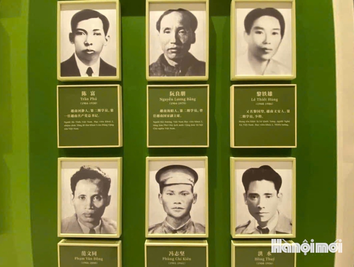 W_bao-thanh-nien-8.jpg