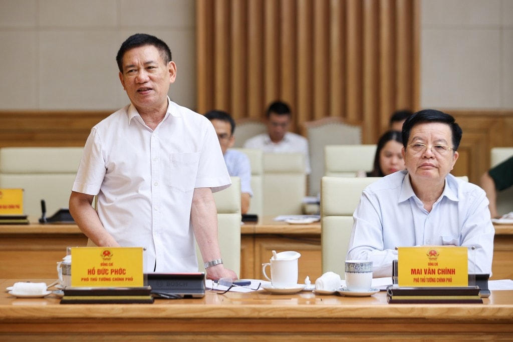 Phó Thủ tướng Hồ Đức Phớc phát biểu - Ảnh: VGP/Nhật Bắc