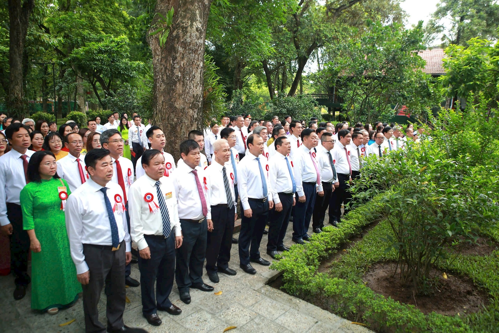 btg-db-a-duc-.jpg