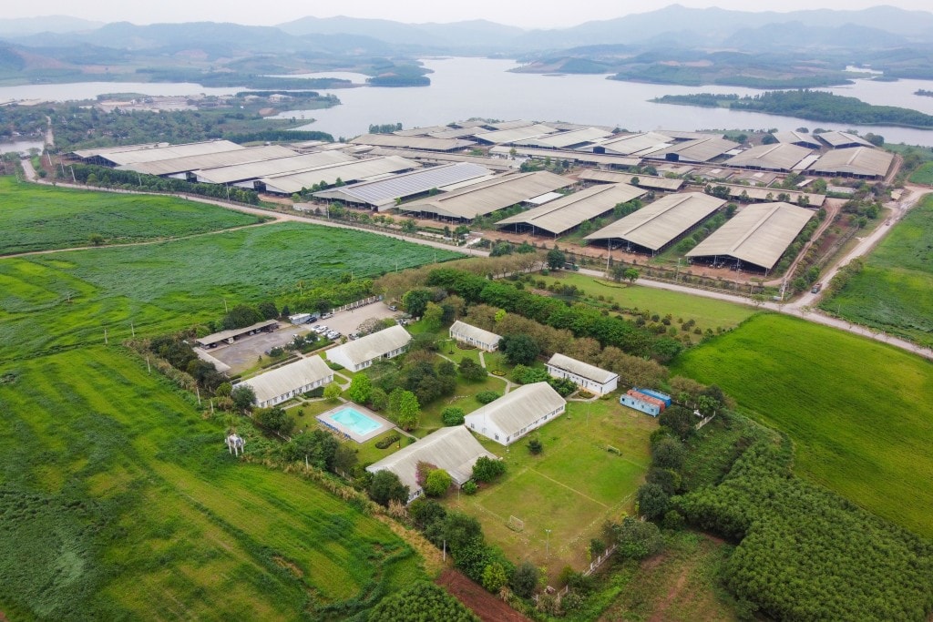 Cụm trang trại bò sữa công nghệ cao khép kín.