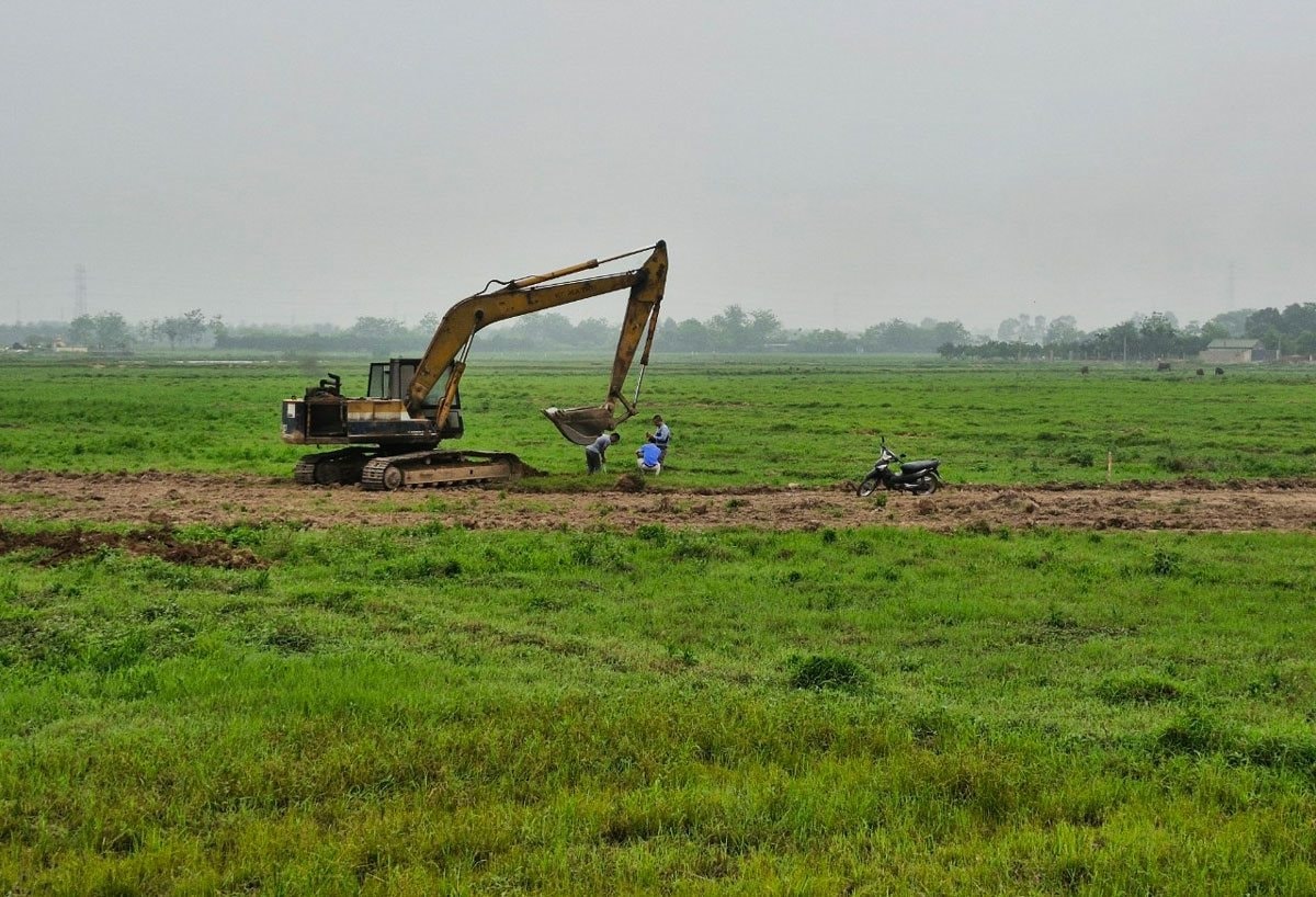nghia-huong.jpg