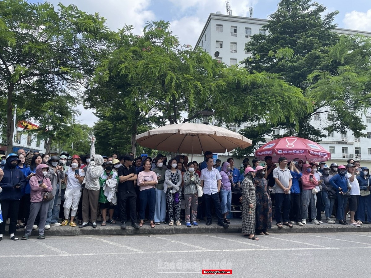 “Con làm bài xong rồi à?” - Câu hỏi nhỏ, tình yêu lớn từ những phụ huynh tâm lý