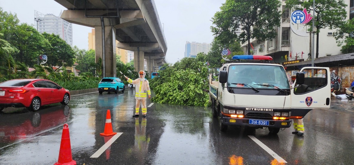 ướng dẫn phân luồng, thu dọn cây đổ do mưa bão t
