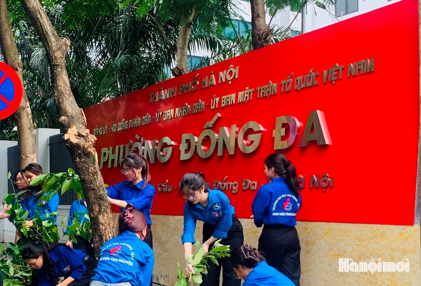 W_dong-da.jpg