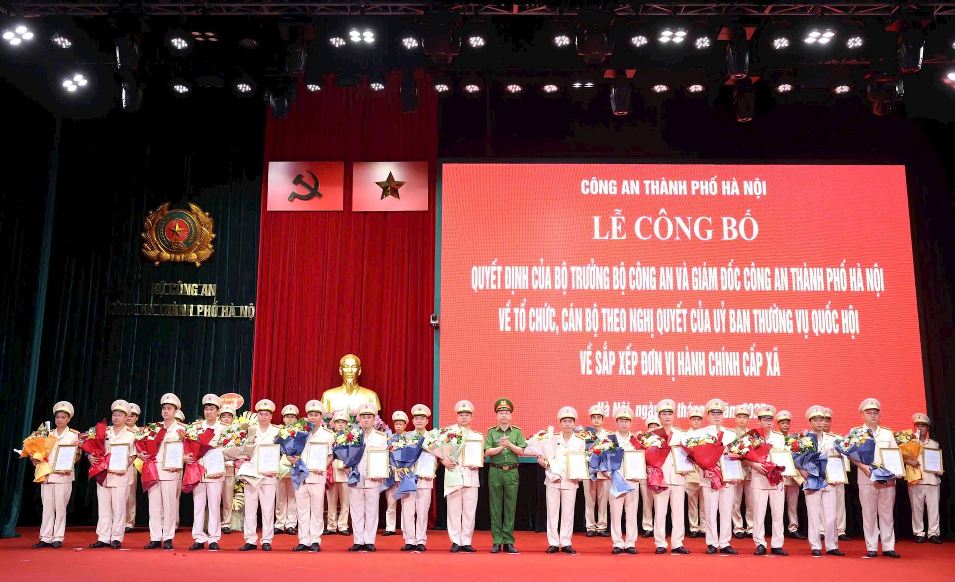 catp8.jpg