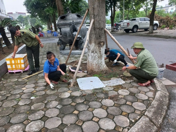 binh-minh-3.jpg