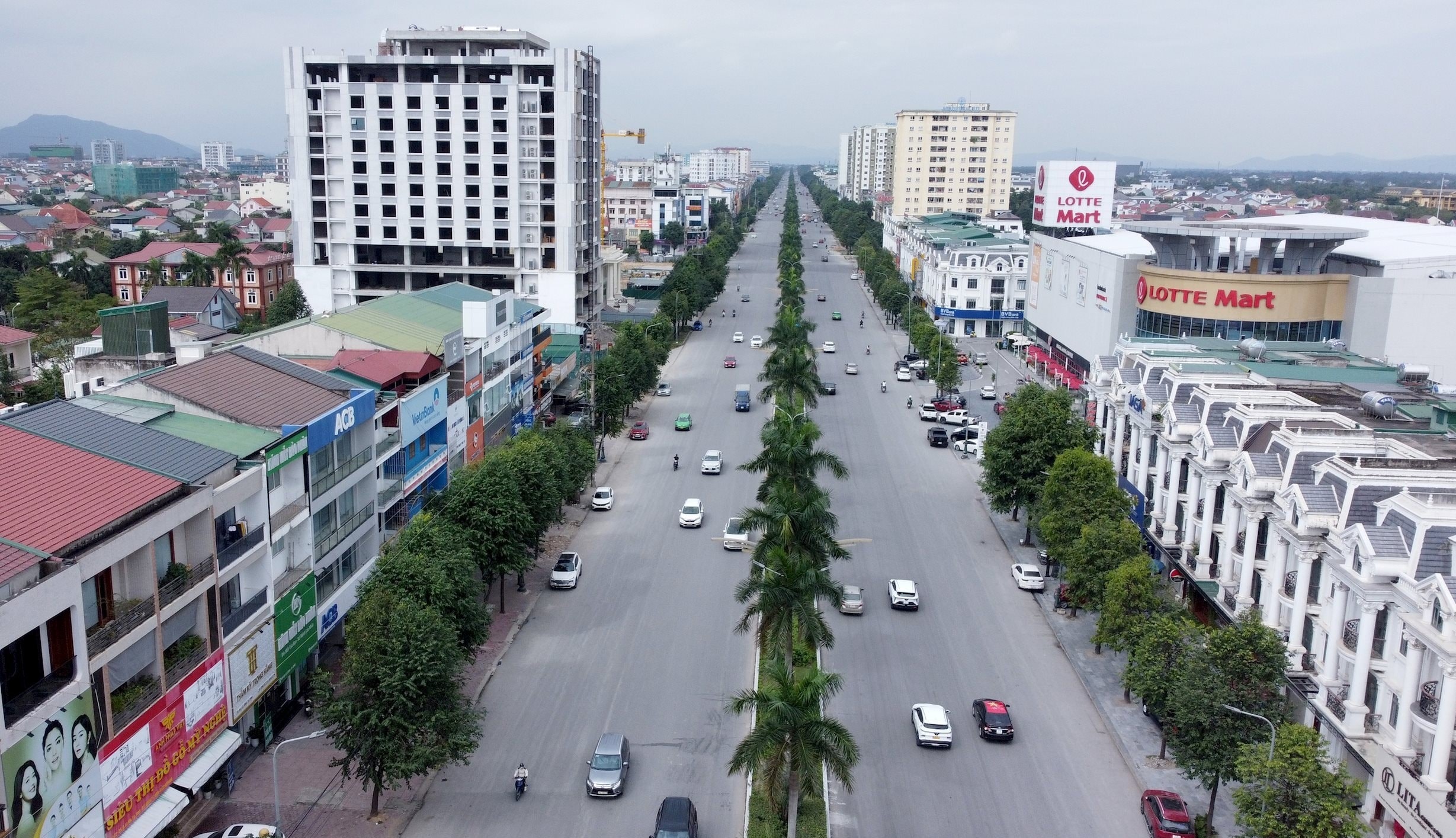 Chặt 200 cây cau vua trên Đại lộ Lê Nin để bảo đảm mỹ quan và an toàn giao thông