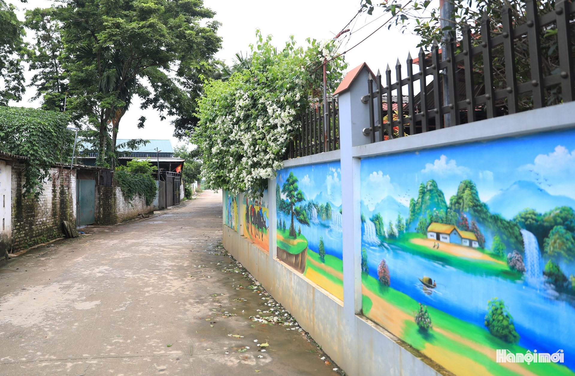 W_hnm-minhchau01.jpg