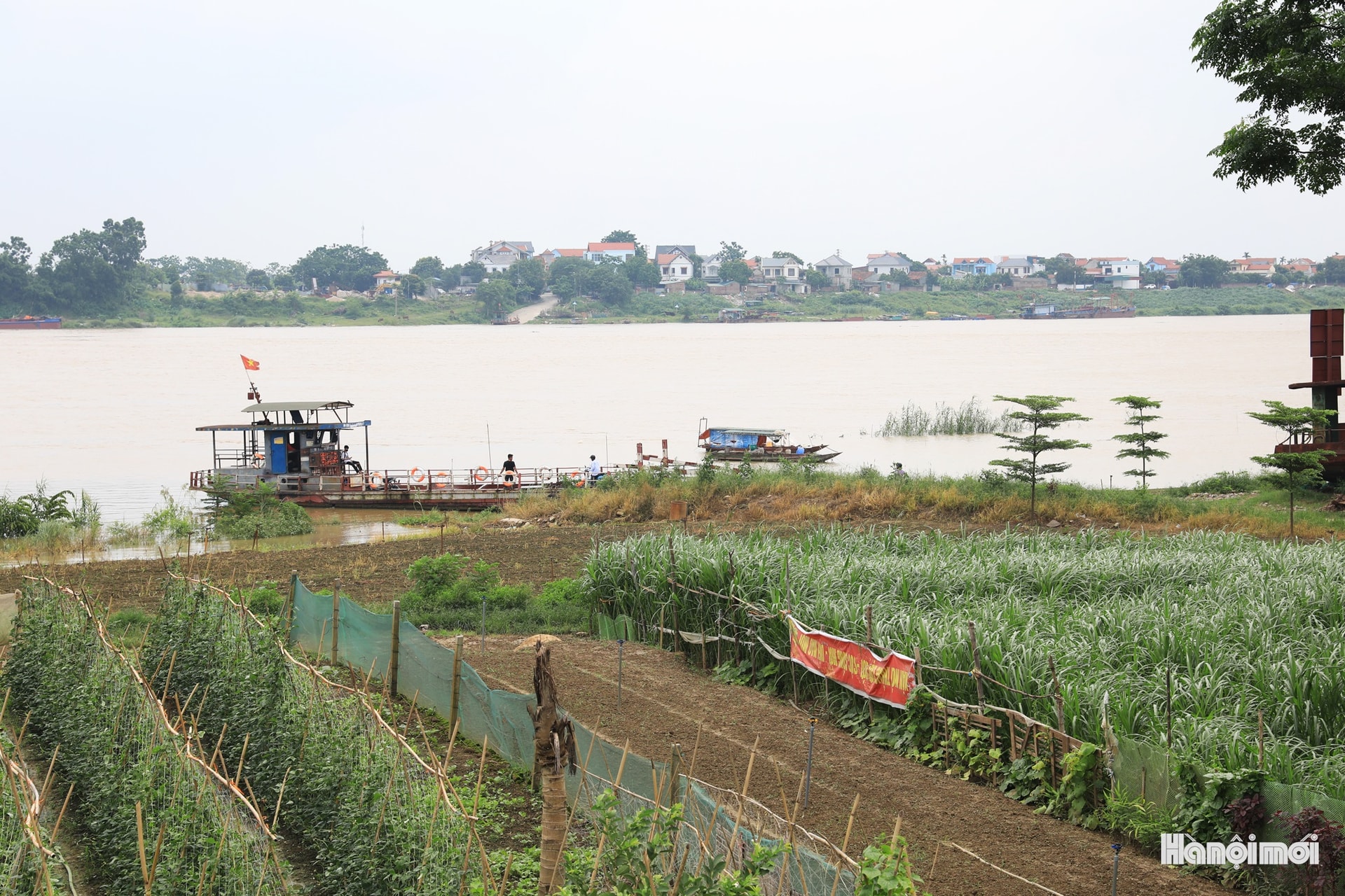 W_hnm-minhchau09.jpg