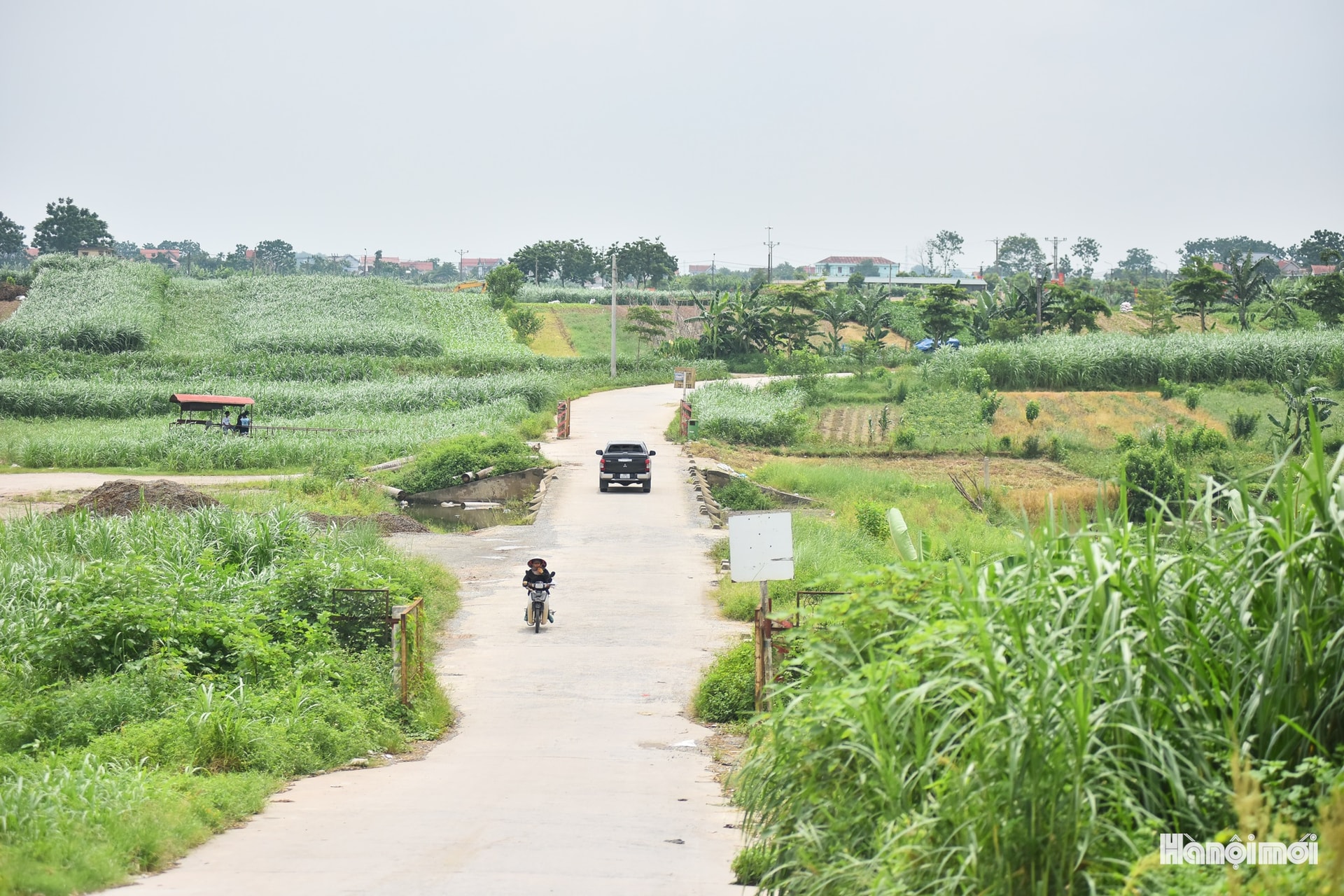 W_hnm-minhchau16.jpg