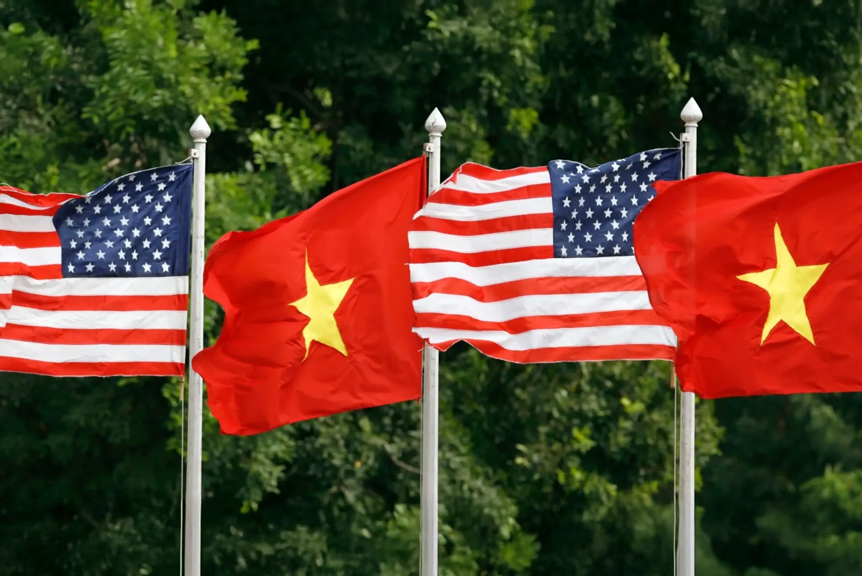 vietmy-1920x882.jpg