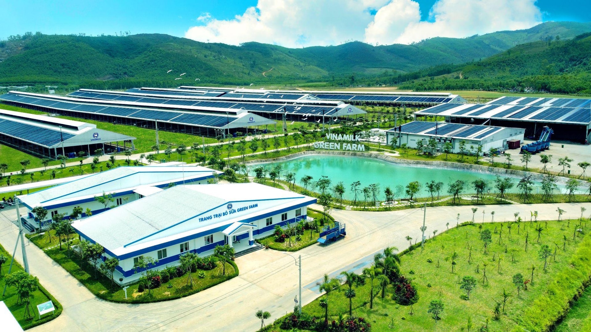 trang-trai-vinamilk-green-farm-la-mo-hinh-than-thien-voi-thien-nhien-nam-trong-chien-luoc-phat-trien-ben-vung-bao-ve-moi-truong-cua-cong-ty-co-phan-sua-viet-nam..jpg