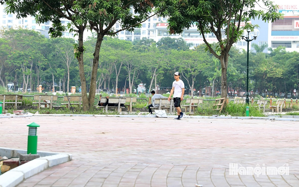 W_cong-vien-cau-giay-7.jpg