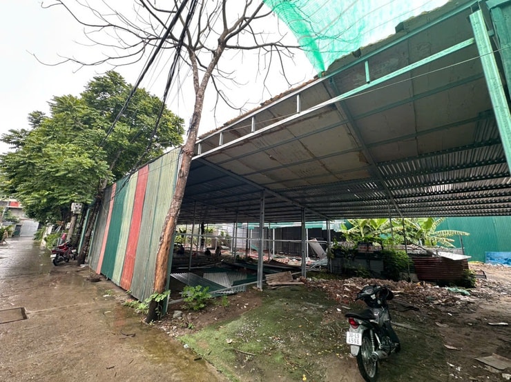 phuong-liet-1.jpg