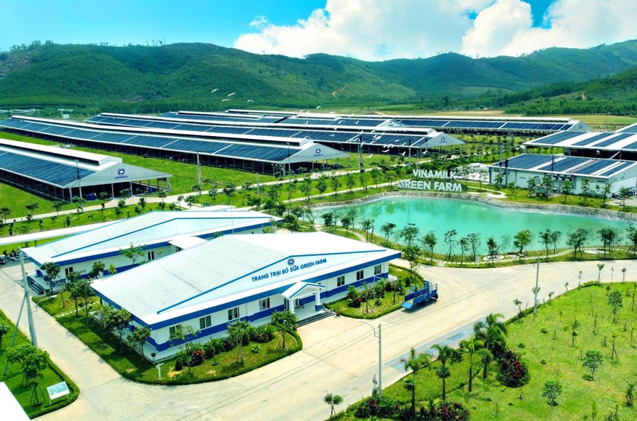 xanh-1.jpg