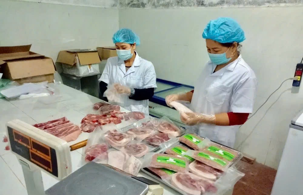 dong-goi-thit-lon-tai-hop-tac-xa-chan-nuoi-va-dich-vu-dong-tam-xa-kieu-phu-.-anh-quang-linh.jpg