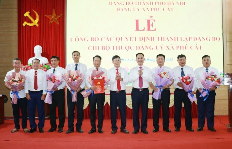 1-phu-cat.jpg