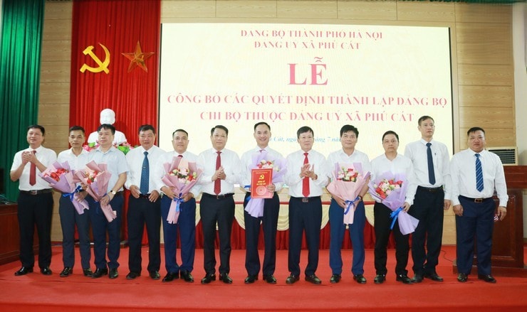 2-phu-cat.jpg