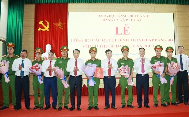 3-phu-cat.jpg