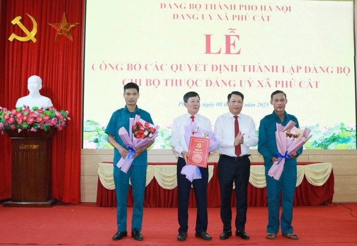 4-phu-cat.jpg