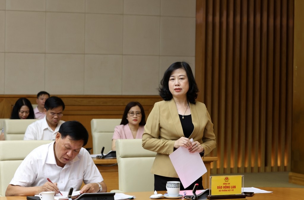 Bộ trưởng Đào Hồng Lan phát biểu tại cuộc họp - Ảnh: VGP/Đức Tuân Bộ trưởng Đào Hồng Lan phát biểu tại cuộc họp - Ảnh: VGP/Đức Tuân