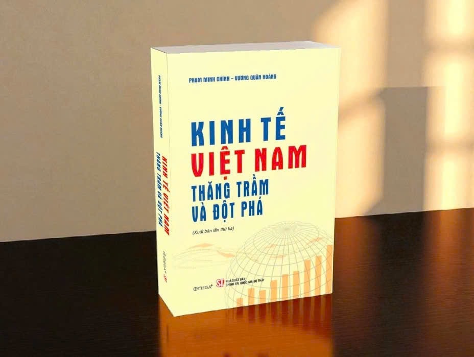 sach-kinh-te-viet-nam.jpg
