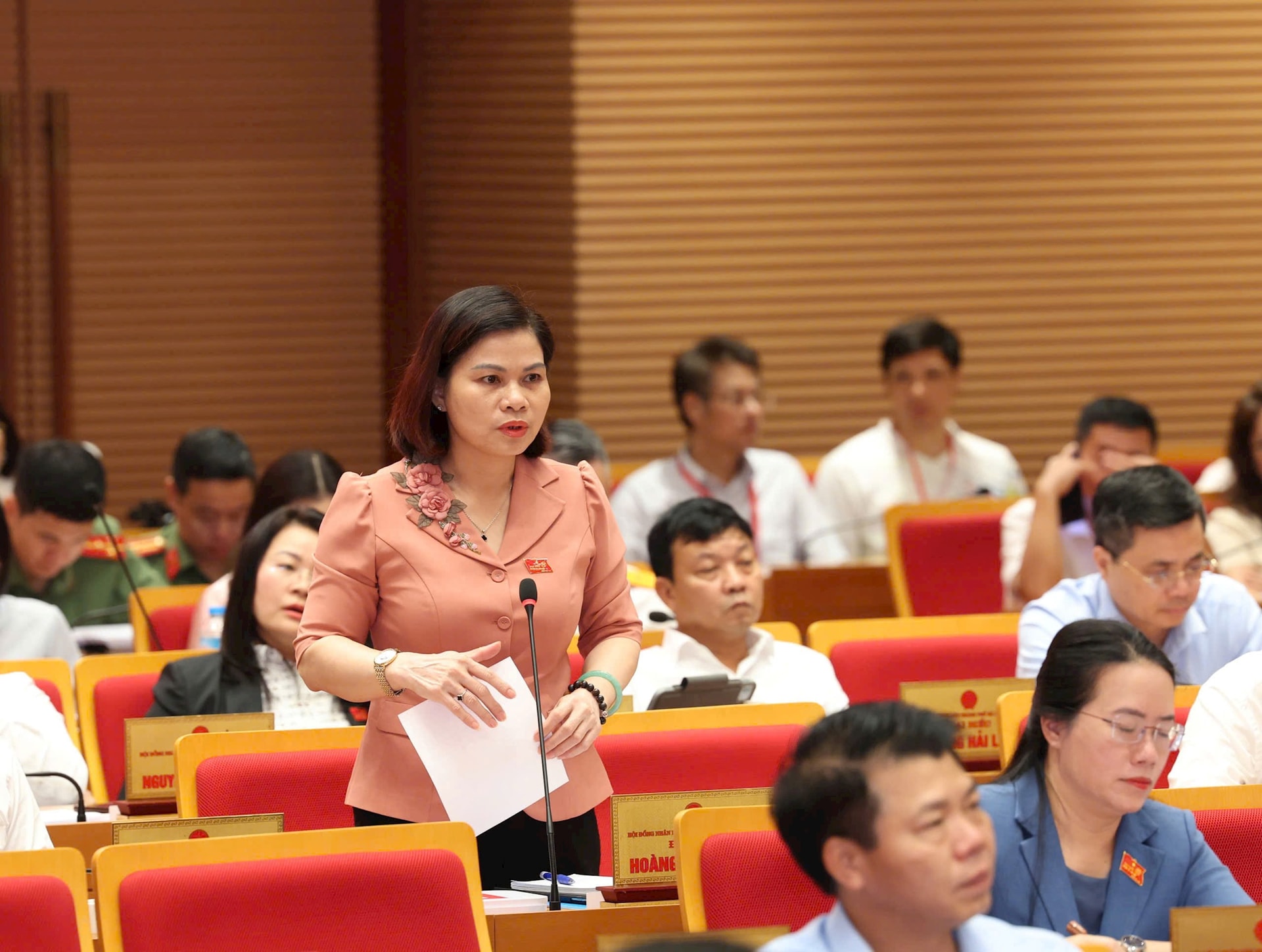 hoang-anh.jpg