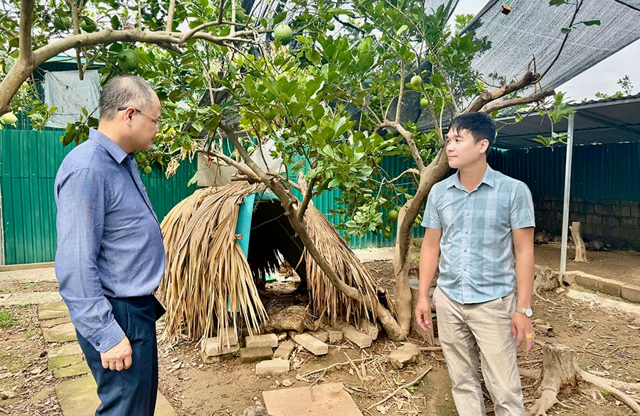 Đóng gói thịt lợn tại Hợp tác xã Chăn nuôi và dịch vụ Đồng Tâm (xã Kiều Phú). Ảnh: Quang Linh