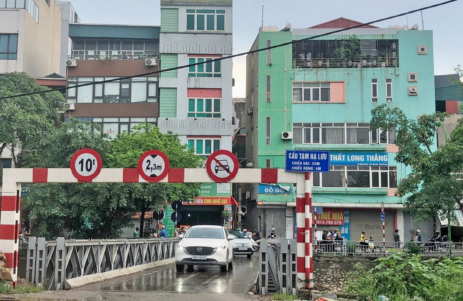 cau-tam-ha-luu-song-lu-phuong-dinh-cong-..jpeg