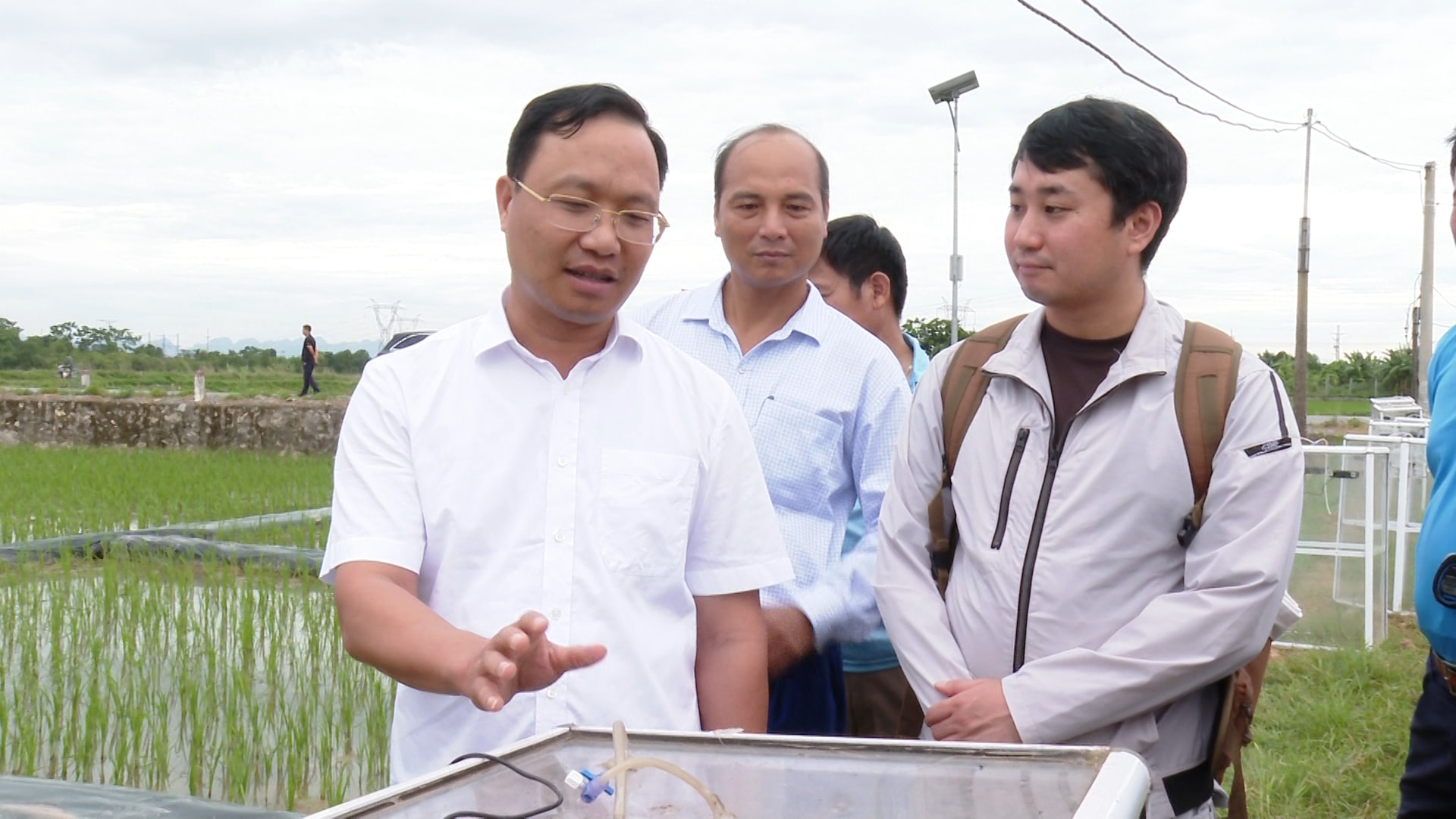 lua-phat-thai-thap-ung-hoa1.jpg