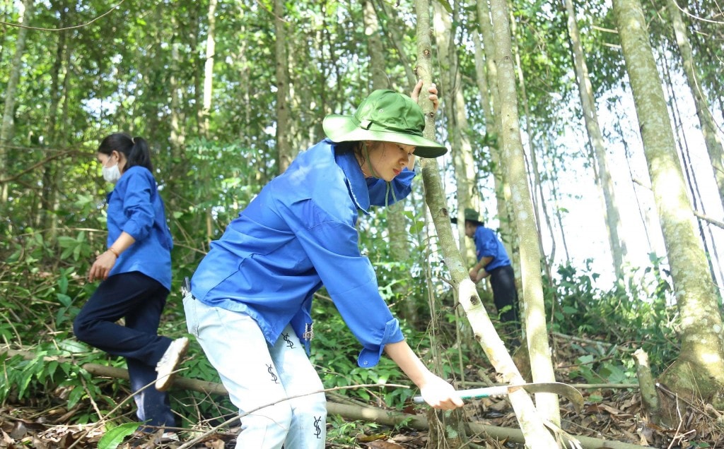 thanh niên