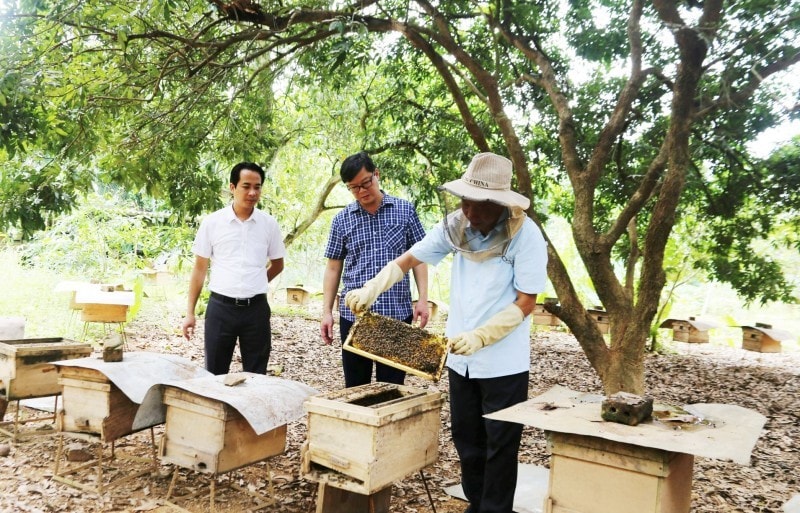 Bài 2: Trách nhiệm to lớn, quyết tâm cao
