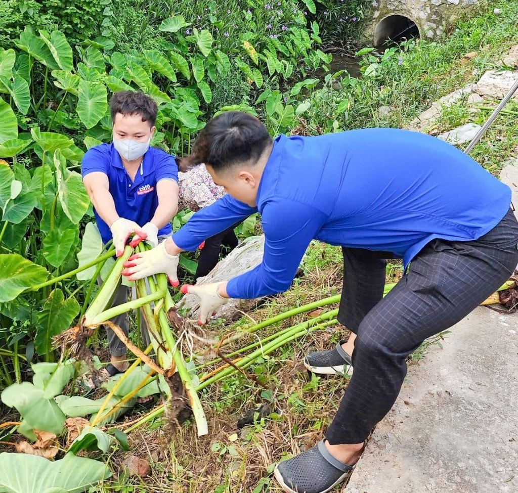 Đoàn viên, thanh niên cùng dọn vệ sinh môi trường