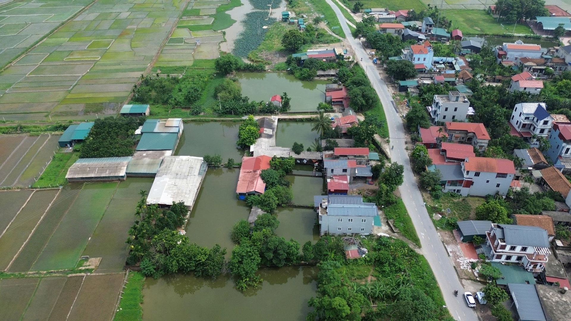 xa-van-dinh.jpg
