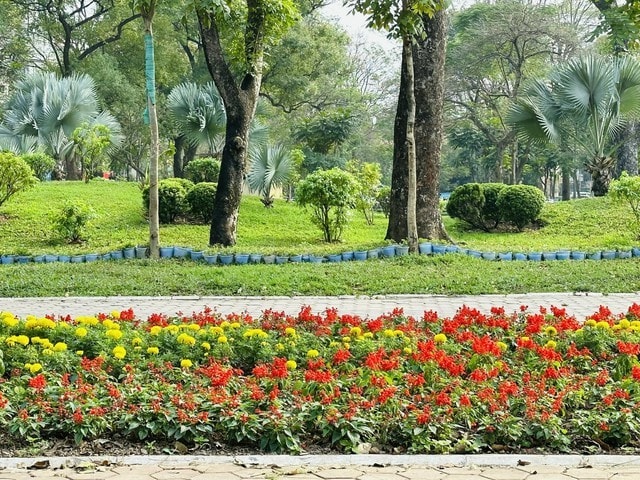Hà Nội những bước “chuyển mình” vững chắc
