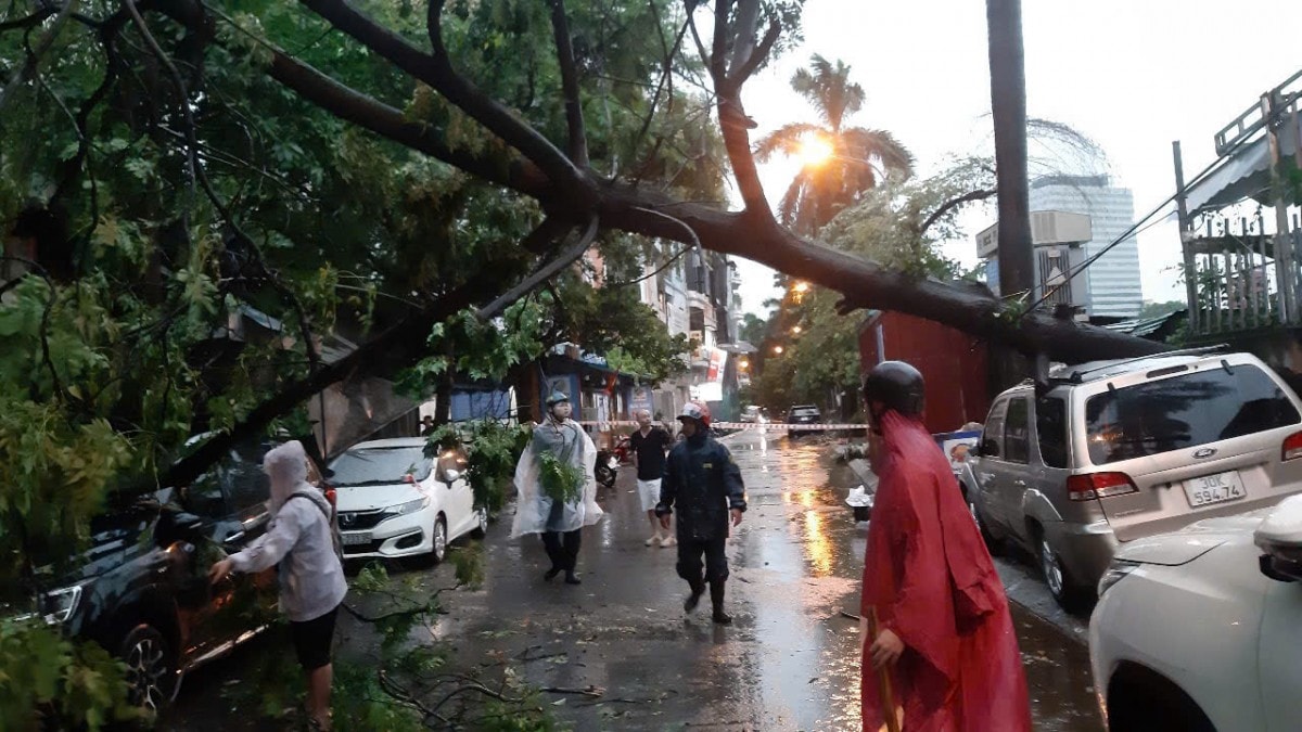 Hà Nội: Kịp thời khắc phục nhanh cây gãy, đổ sau cơn dông lốc lớn
