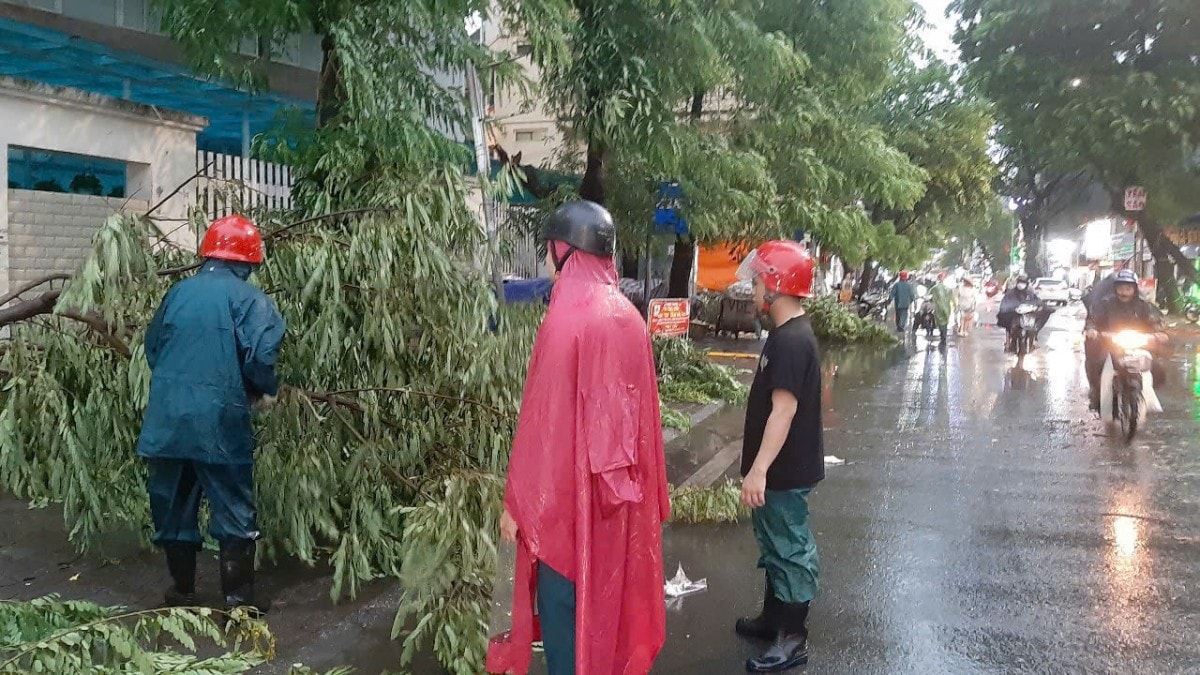 Hà Nội: Kịp thời khắc phục nhanh cây gãy, đổ sau cơn dông lốc lớn