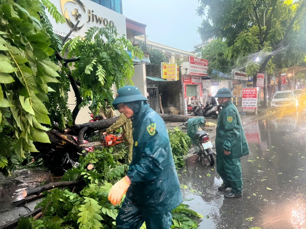 Hà Nội: Kịp thời khắc phục nhanh cây gãy, đổ sau cơn dông lốc lớn