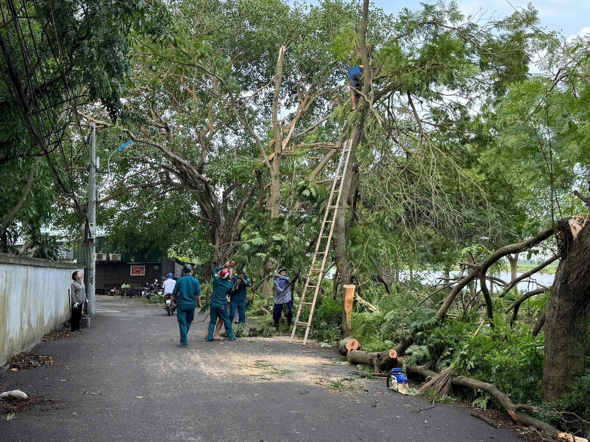 thanh-tri-2.jpg