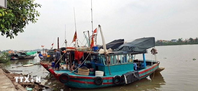 Các tàu đánh cá vào tránh trú bão tại khu vực bến Chanh, phường Quảng Yên, tỉnh Quảng Ninh. (Ảnh: Đức Hiếu/TTXVN) Các tàu đánh cá vào tránh trú bão tại khu vực bến Chanh, phường Quảng Yên, tỉnh Quảng Ninh. (Ảnh: Đức Hiếu/TTXVN)