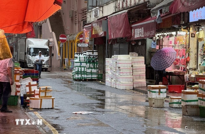 ttxvn-hong-kong-cho.jpg