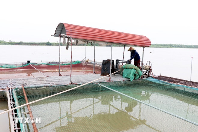 ttxvn-bao-so-3-hai-phong.jpg